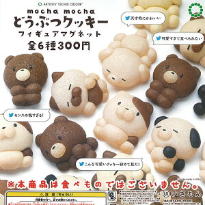 A[gjueNjJ[ mocha mocha ǂԂ NbL[ tBMA }Olbg S6Zbg  K`| K`K` Rv[g