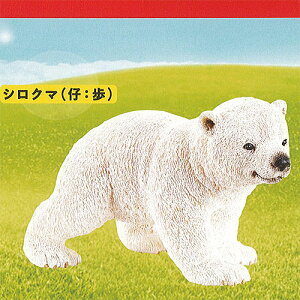 JvZ VCq Aj}Y CAPSULE SCHLEICH animals 1FVN}(e ) PGt@g K`| K`K` KV|