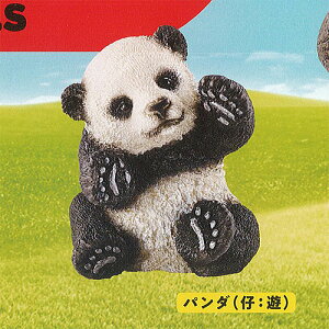 JvZ VCq Aj}Y CAPSULE SCHLEICH animals 2Fp_(e V) PGt@g K`| K`K` KV|
