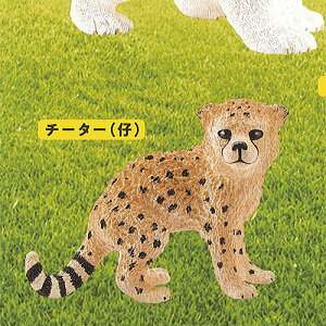 JvZ VCq Aj}Y CAPSULE SCHLEICH animals 5F`[^[(e) PGt@g K`| K`K` KV|