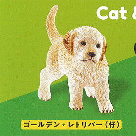 カプセル シュライヒ キャット＆ドッグ CAPSULE SCHLEICH Cat＆Dog 1：ゴールデン・レトリバー(仔) ケンエレファント ガチャポン ガチャガチャ ガシャポン