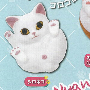 ܂܂ǂԂ ܂܂ ˂  \tr 2FVlR ^Jg~[A[c K`| K`K` KV|