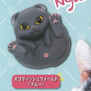 ܂܂ǂԂ ܂܂ ˂  \tr 4FXReBbVtH[h(u[) ^Jg~[A[c K`| K`K` KV|