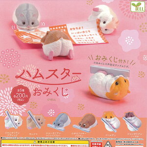 nX^[ ݂ S6+fBXvC䎆Zbg G[ K`| K`K` Rv[g