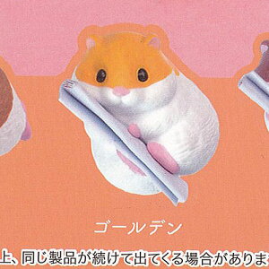 nX^[ ݂ 5FS[f G[ K`| K`K` KV|