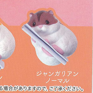 nX^[ ݂ 6FWKAm[} G[ K`| K`K` KV|