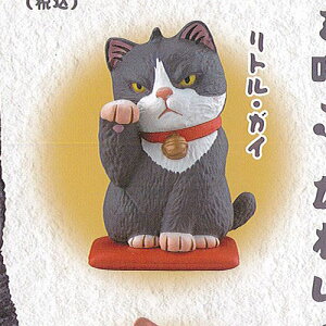 JvZQ~[WA MY  L 2.5 4FgEKC Cm K`| K`K` KV|