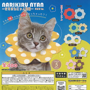 Ȃ肫ɂ L ͂ Ver S5Zbg xlbN K`| K`K` KV| Rv[g