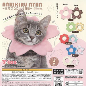 Ȃ肫ɂ L ͂ Ver S5+fBXvC䎆Zbg xlbN K`| K`K` Rv[g