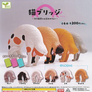 L ubW LwƂ͌킹Ȃ S6+fBXvC䎆Zbg G[ K`| K`K` Rv[g