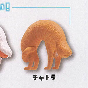 L ubW LwƂ͌킹Ȃ 3F`g G[ K`| K`K` KV|