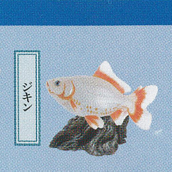 楽天市場】原色図鑑 シリーズ 26 原色 鑑賞魚 図鑑 1 4：ジキン 