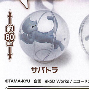 TAMA-KYU ɂႢ ver.2 1FTog uV[h K`| K`K` KV|