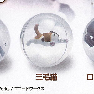 TAMA-KYU ɂႢ ver.2 2FOєL uV[h K`| K`K` KV|