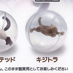 TAMA-KYU ɂႢ ver.2 6FLWg uV[h K`| K`K` KV|