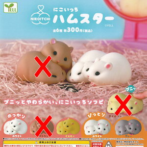 ɂ nX^[ / 4Zbg G[ K`| K`K` KV|