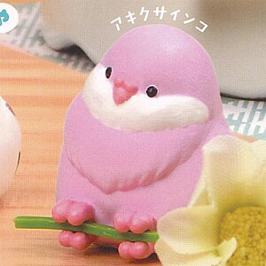 Ƃ ݂  6FALNTCR G[ K`| K`K` KV|