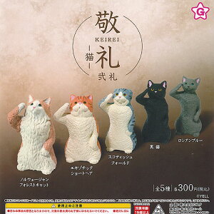 h KEIREI L  S5Zbg G[ K`| K`K` KV| Rv[g