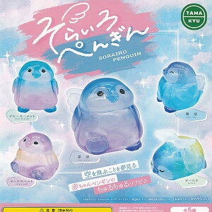 TAMA-KYU 炢 ؂񂬂 S5+fBXvC䎆Zbg uV[h K`| K`K` Rv[g