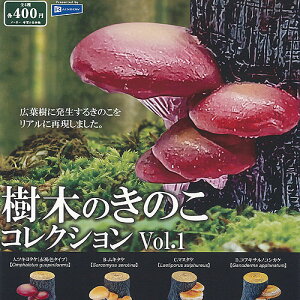 ؂̂̂ RNV vol.1 S4+fBXvC䎆Zbg C{[ K`| K`K` Rv[g