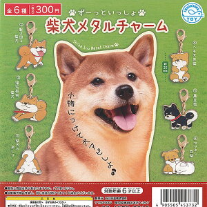 [  Č ^ `[ S6+fBXvC䎆Zbg ΐߋ K`| K`K` Rv[g