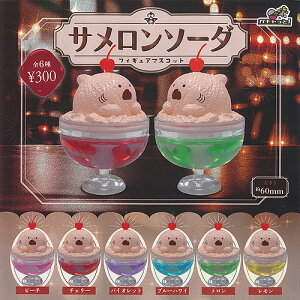 T\[_ tBMA }XRbg S6Zbg uCgN K`| K`K` Rv[g