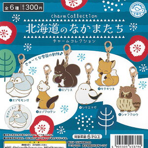 kC ̂Ȃ܂ `[ RNV S6+fBXvC䎆Zbg ΐߋ K`| K`K` KV| Rv[g