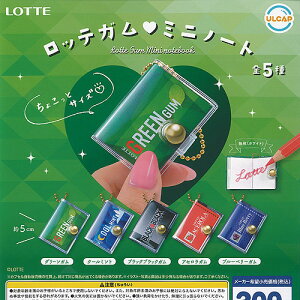 LOTTE ���b�e �K�� �~�j �m�[�g �S5��Z�b�g �E���g���j���[�v�����j���O �K�`���|�� �K�`���K�`�� �R���v���[�g