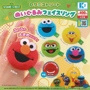 ZT~Xg[g ʂ tFCXO S5Zbg P[c[Xe[V K`| K`K` Rv[g