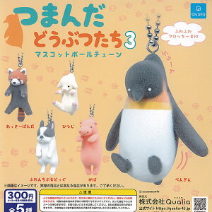 ܂ ǂԂ 3 }XRbg {[`F[ S5Zbg Qualia K`| K`K` Rv[g