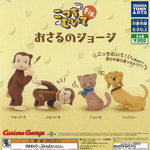 ނ Fig ̃W[W S4Zbg ^Jg~[A[c K`| K`K` Rv[g