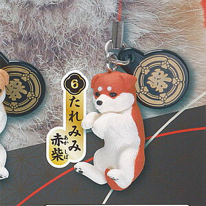 Č t 6F݂ݐԎ ^[C^[iVi K`| K`K` KV|