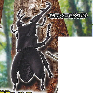 ׂ鐶 tBMA V[Y ̐X ĝȂ 2FMt@mRMNK^ ^Jg~[A[c K`| K`K` KV|