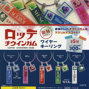 LOTTE ���b�e �`�E�C���K�� ���C���[ �L�[�����O �S5��+�f�B�X�v���C�䎆�Z�b�g �s�[�i�b�c�N���u �K�`���|�� �K�`���K�`�� �R���v���[�g