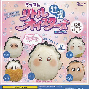  gICX^[Y y ʂ S5+fBXvC䎆Zbg s[ibcNu K`| K`K` Rv[g