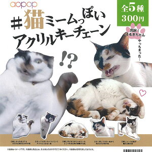 L ~[ۂ AN L[`F[ S5Zbg AI|bv K`| K`K` KV| Rv[g