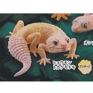 JvZQ ~[WA  S 2 NXebhQbR[ 4FqEgJQhL uU[h Cm K`| K`K` KV|