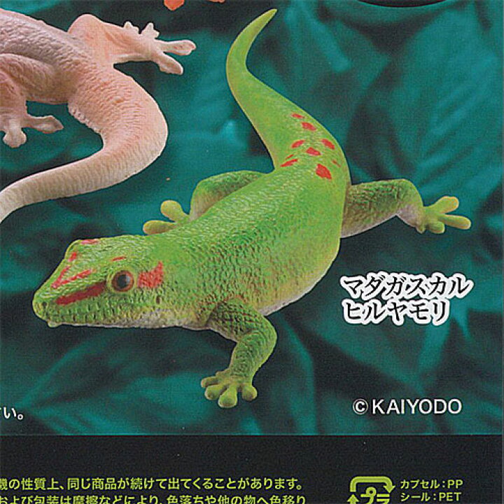 楽天市場】カプセルQ ミュージアム ヤモリ 大全 2 クレステッド 