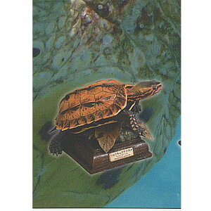 lC`[eNjJ[ {  J  3FELE}K  K`| K`K` KV|