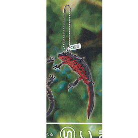 ネイチャーテクニカラー MONO PLUS イモリ と オオサンショウウオ ボールチェーン & マグネット 6：アカハライモリ ボールチェーン いきもん ガチャポン