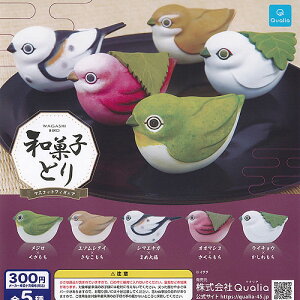 aَq Ƃ }XRbg tBMA S5Zbg Qualia K`| K`K` KV| Rv[g