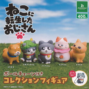 ˂ɓ] {[`F[ t RNV tBMA S5Zbg uV[h K`| K`K` KV| Rv[g