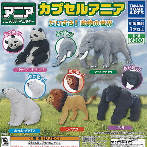 JvZAjA  ̐E S5+fBXvC䎆Zbg ^Jg~[A[c K`| K`K` KV| Rv[g