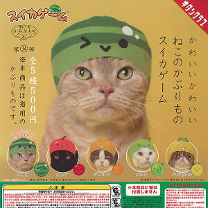 킢킢 ˂̂Ԃ XCJQ[ S5+fBXvC䎆Zbg 权Nu K`| K`K` KV| Rv[g