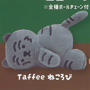 MUZIK TIGER W[N^CK[  ʂ 2FTaffee ˂ Qualia K`| K`K` KV|