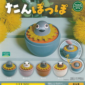 TAMA-KYU ۂ S4+fBXvC䎆Zbg uV[h K`| K`K` KV| Rv[g