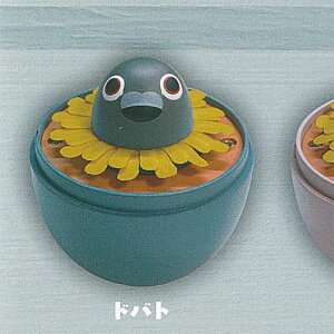 TAMA-KYU ۂ 1Fhog uV[h K`| K`K` KV|