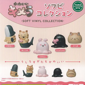 TAMA-KYU 킢 L \tr RNV S5Zbg uV[h K`| K`K` KV| Rv[g