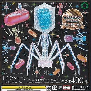 TCGXeNjJ[ T4t@[W C{[ p[ }XRbg  {[`F[ S8+fBXvC䎆Zbg  K`| Rv[g