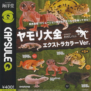 JvZQ~[WA  S GNXgJ[ Ver S5+fBXvC䎆Zbg Cm K`| K`K` KV| Rv[g